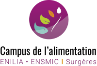 logo enilia-ensmic