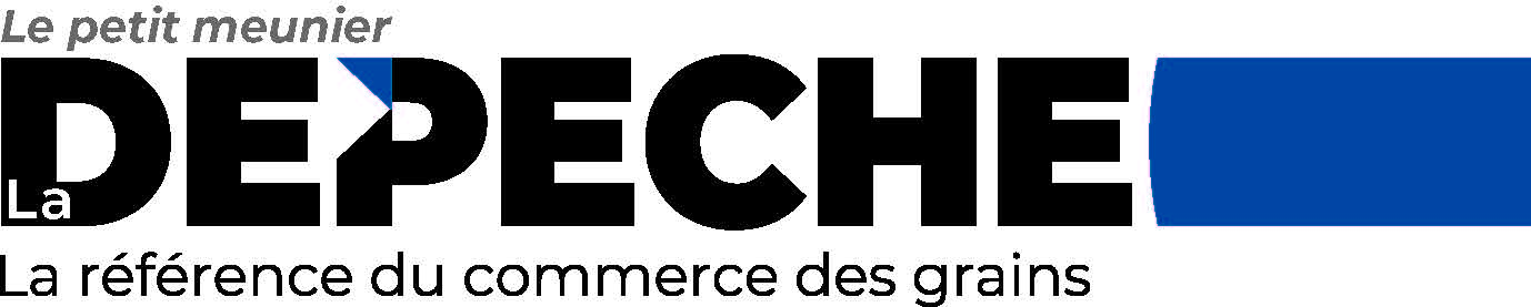 logo La D√©p√™che