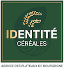 logo Identit√© C√©r√©ales